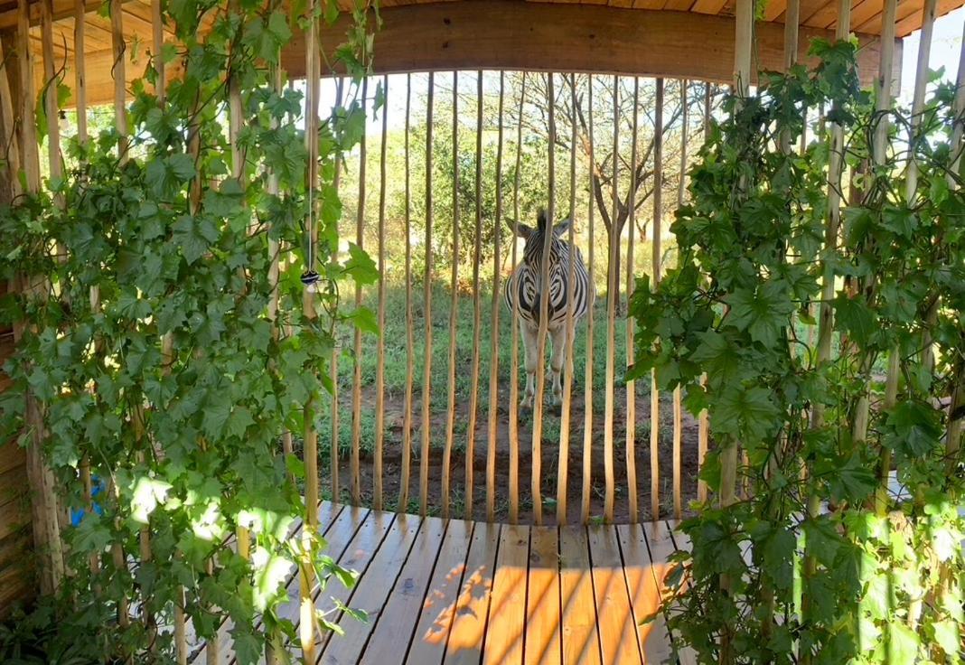 Вилла Mudhouse Zululand Хлухлуве Экстерьер фото